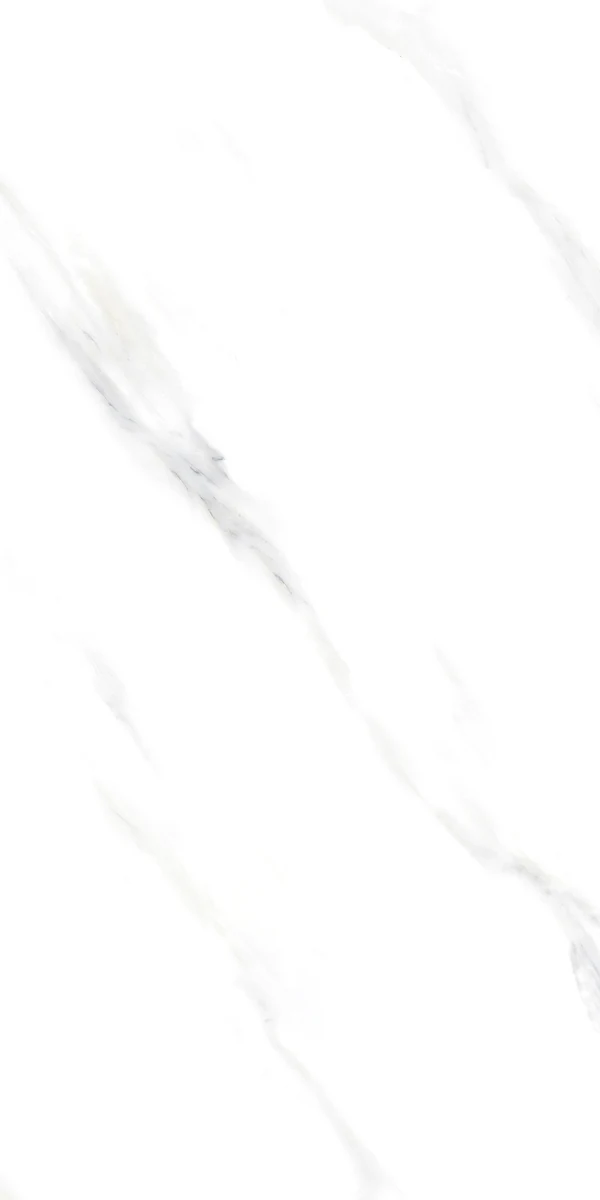 face 6